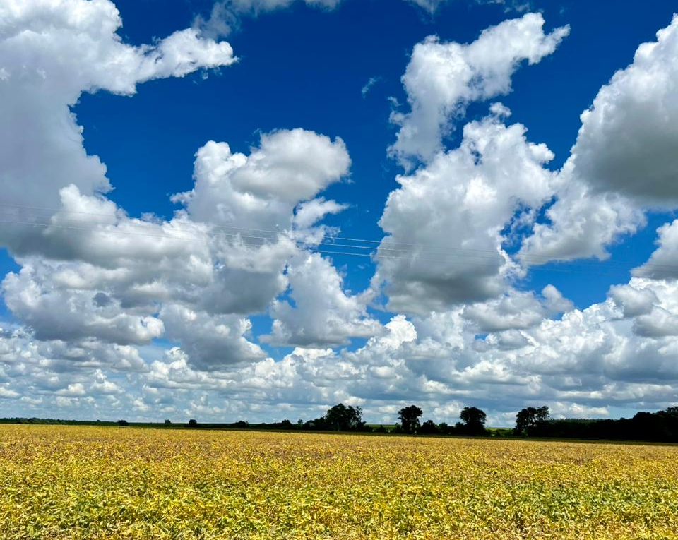 Maracaju atinge temperatura máxima de 35°C neste sábado