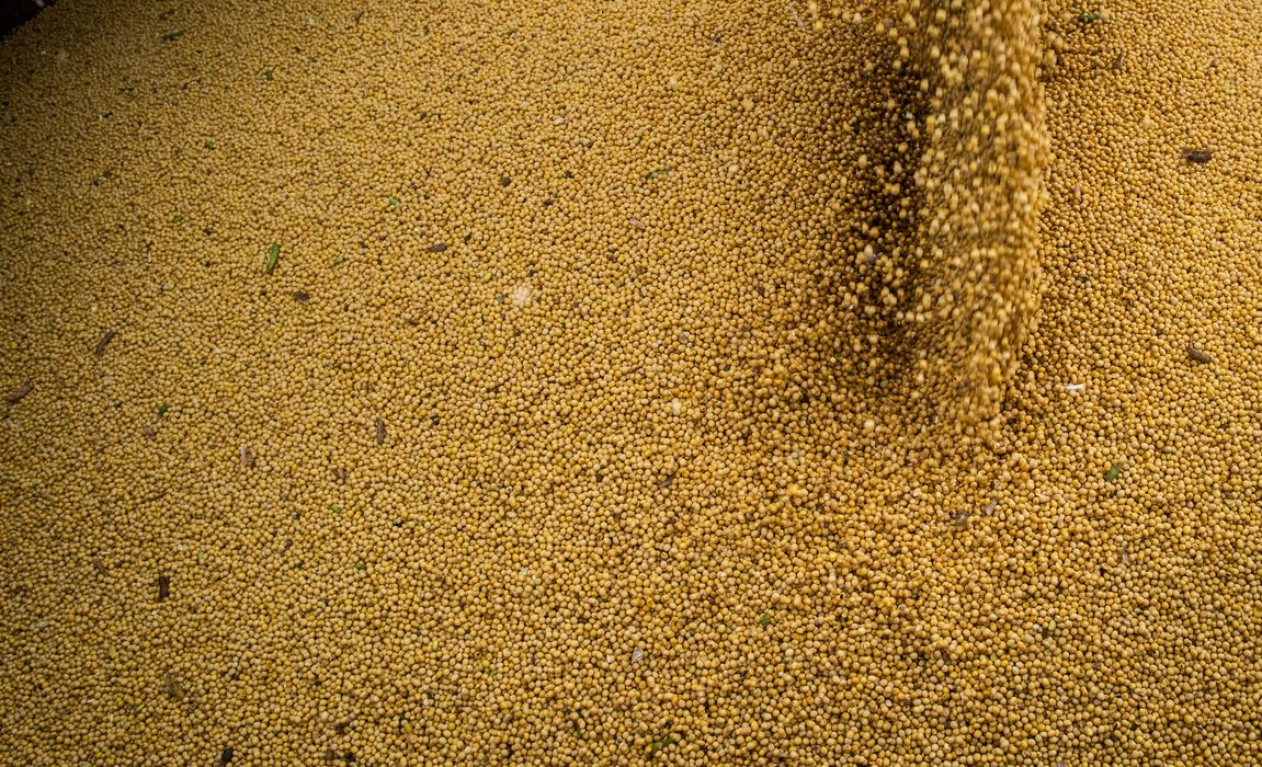 Agro cresce 11,7%, impulsiona PIB e ganha participação na economia