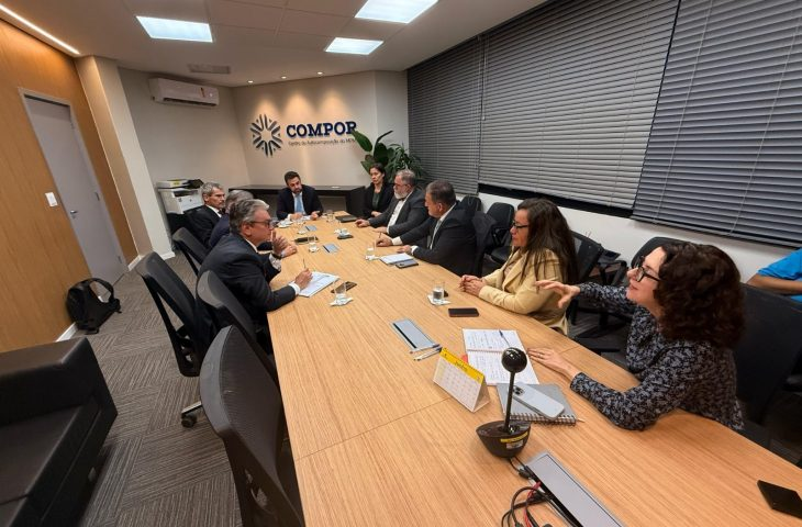 Segurança Pública participa de reunião com MPMS para discutir violência doméstica e estrutura das delegacias