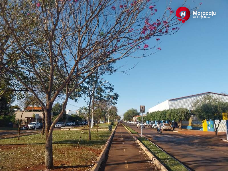 Sol predominante e umidade crítica exigem atenção em Maracaju nesta sexta