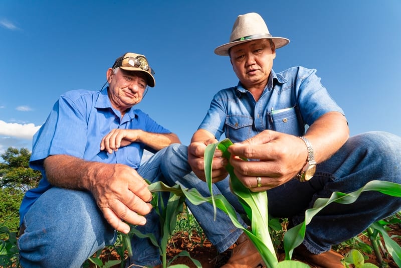 Rio Brilhante leva o Sistema Campo Limpo à Festa do Milho no Dia Nacional do Campo Limpo