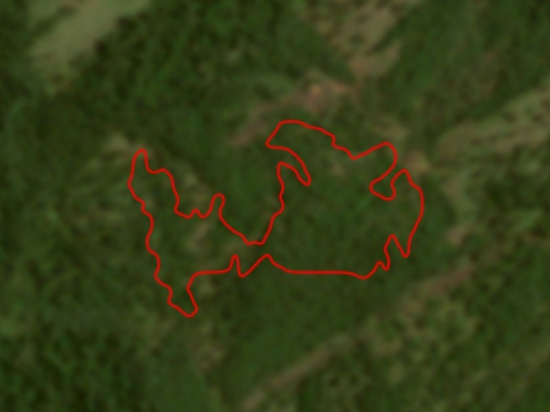 Desmatamento no Cerrado leva MPMS a acompanhar autuações e reforçar medidas de responsabilização ambiental em Maracaju