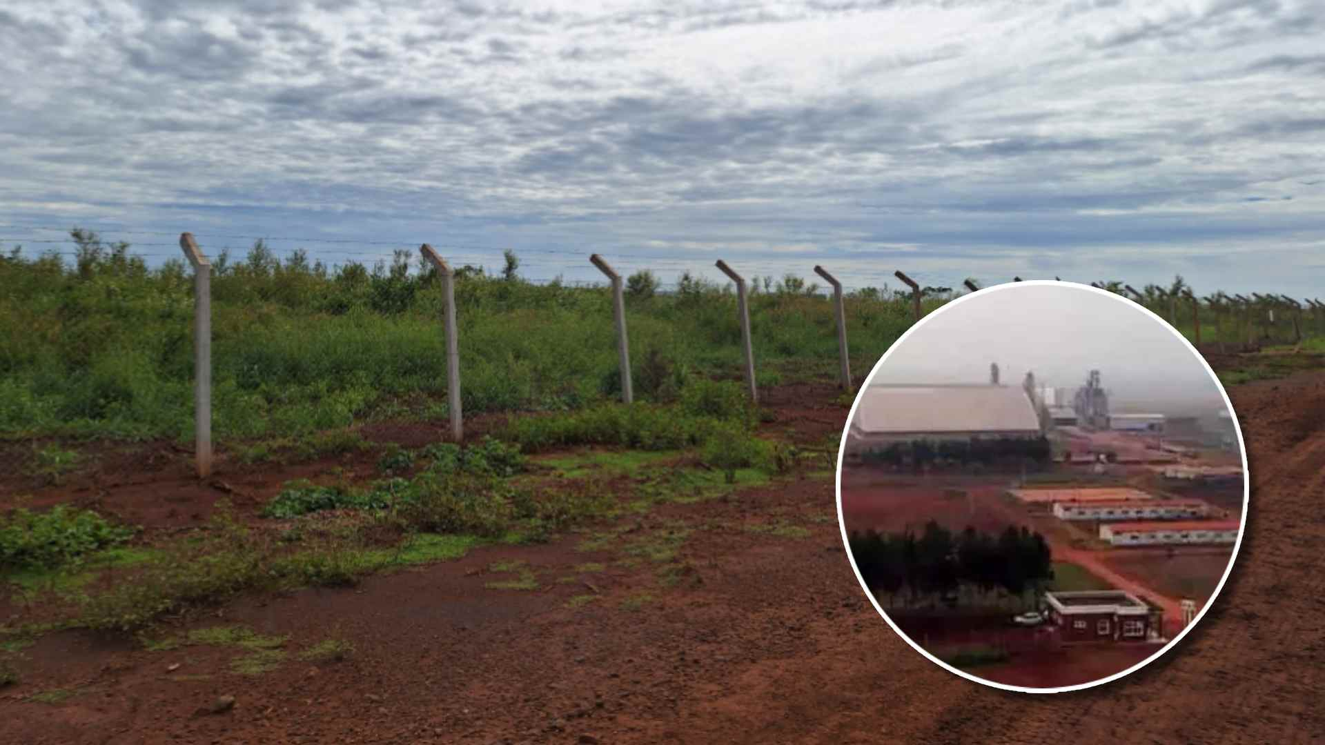 Disputa por R$ 10 milhões: área doada para megaindústria chinesa BBCA está abandonada