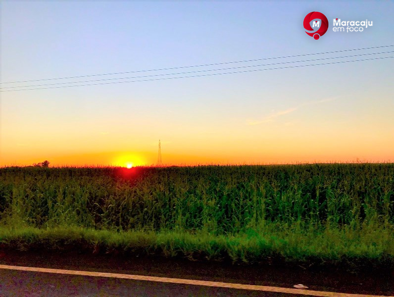 Quinta-feira de sol e calor em Maracaju.