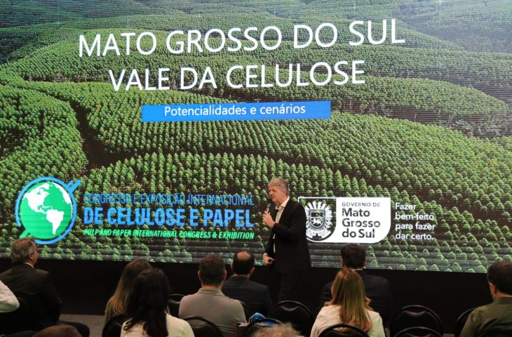 Área plantada de florestas em MS é a que mais cresce no país e chega a 1,5 milhão de hectares