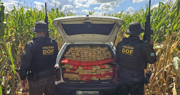 DOF apreende mais de 600 quilos de drogas em Maracaju