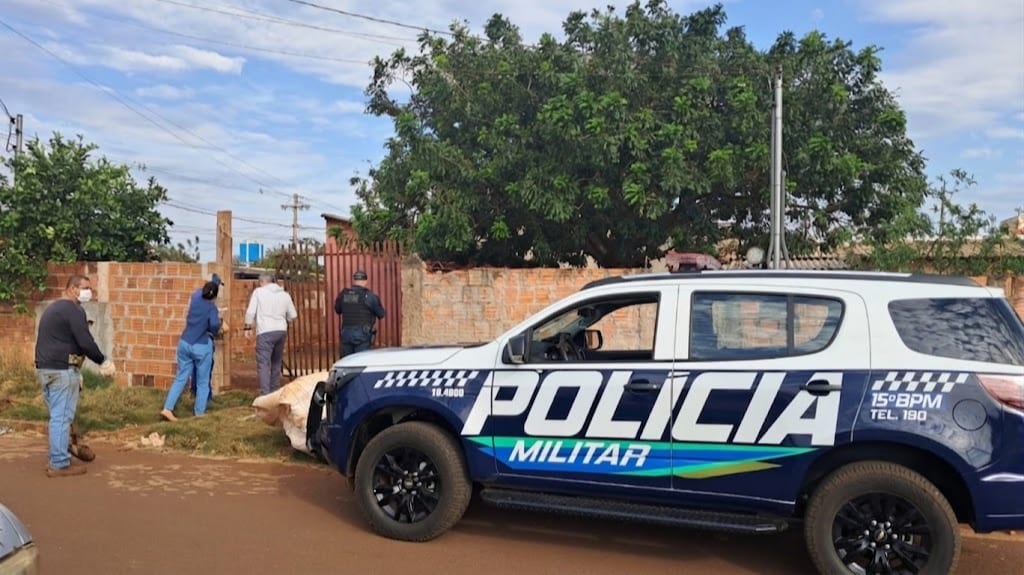 Polícia Militar acompanha fiscalização ambiental e registra ocorrência de maus-tratos a animal em Maracaju