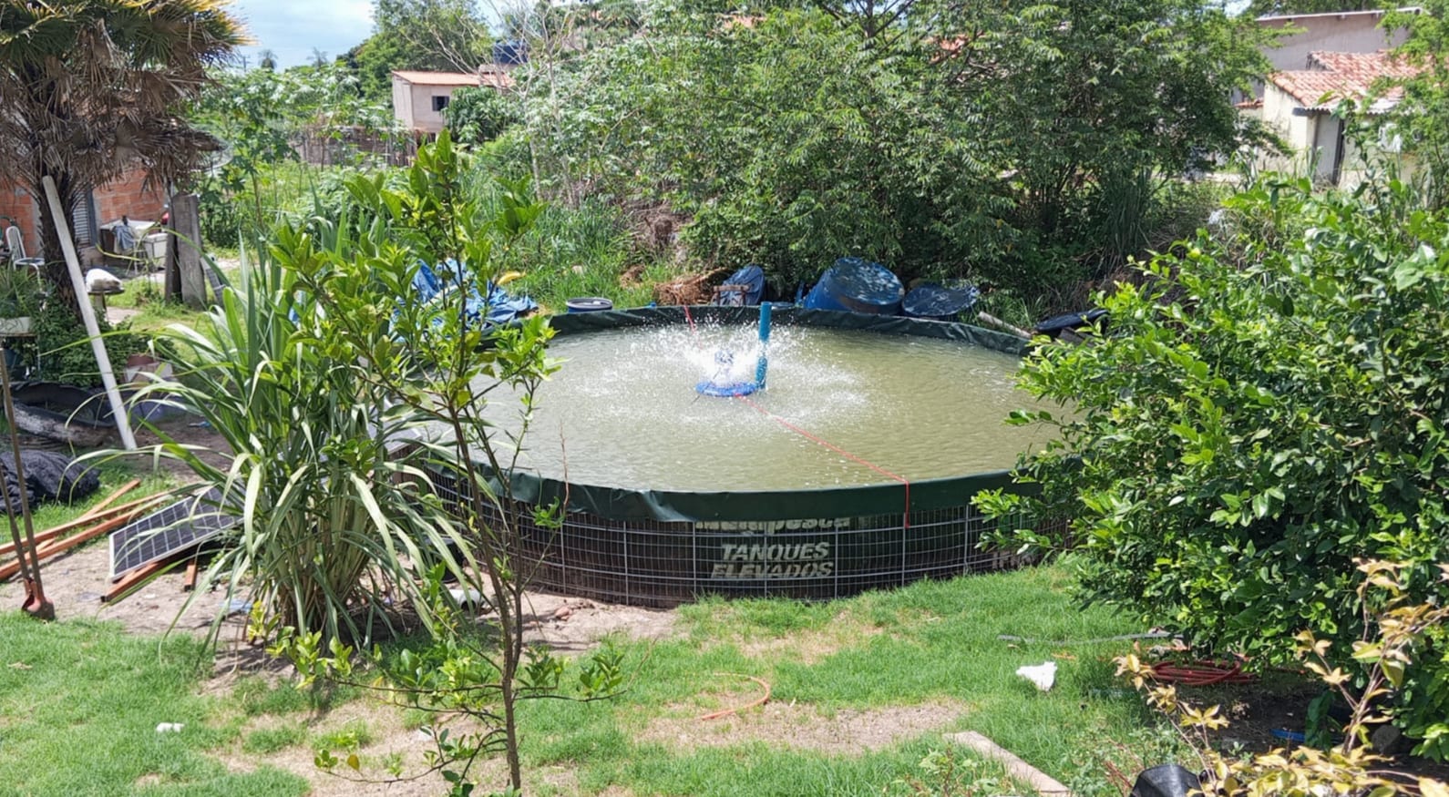Primeiro tanque sustentável de iscas do Estado transforma rotina e renda de mulheres ribeirinhas em Corumbá