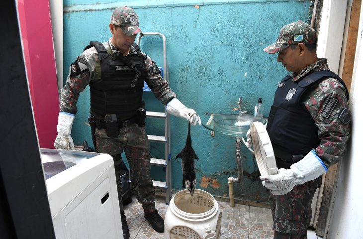 Polícia Militar Ambiental lembra que animal silvestre não é pet e esclarece quando deve ser capturado