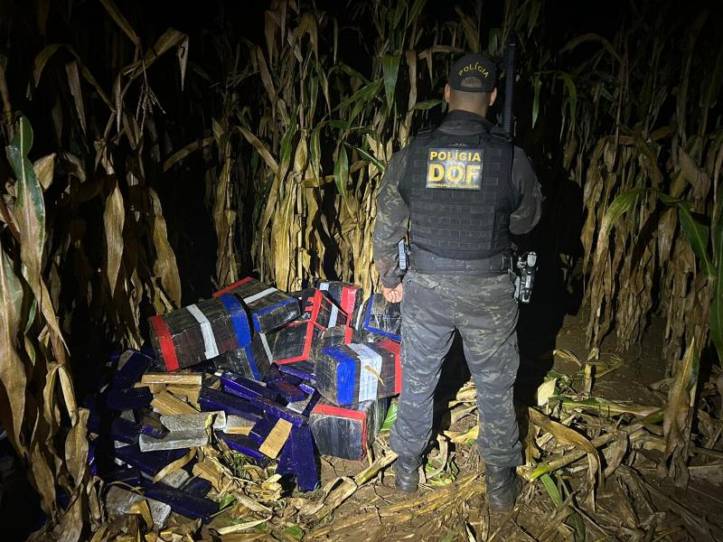 DOF apreende veículo com quase uma tonelada de maconha em Maracaju