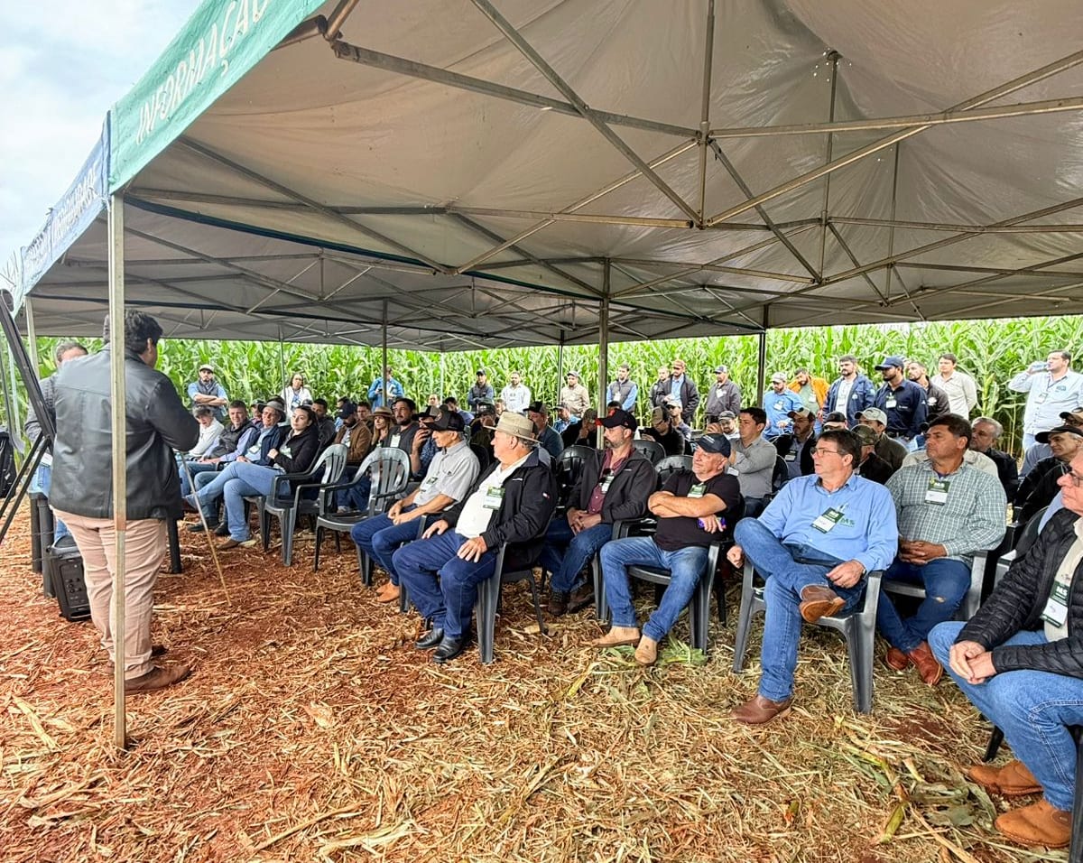 Dia de Campo reúne mais de 400 pessoas em Maracaju para discutir tecnologias mais eficientes para o milho safrinha 