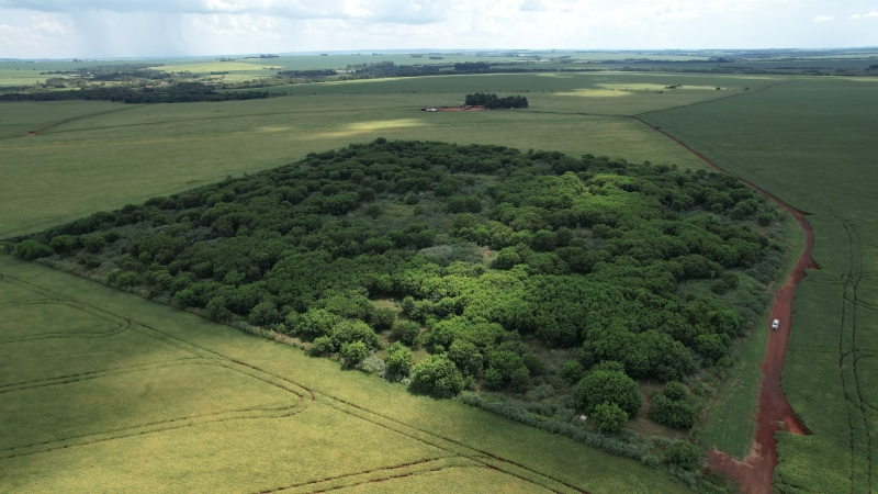 Maracaju avança na pauta ambiental e se consolida como referência em gestão sustentável em Mato Grosso do Sul.
