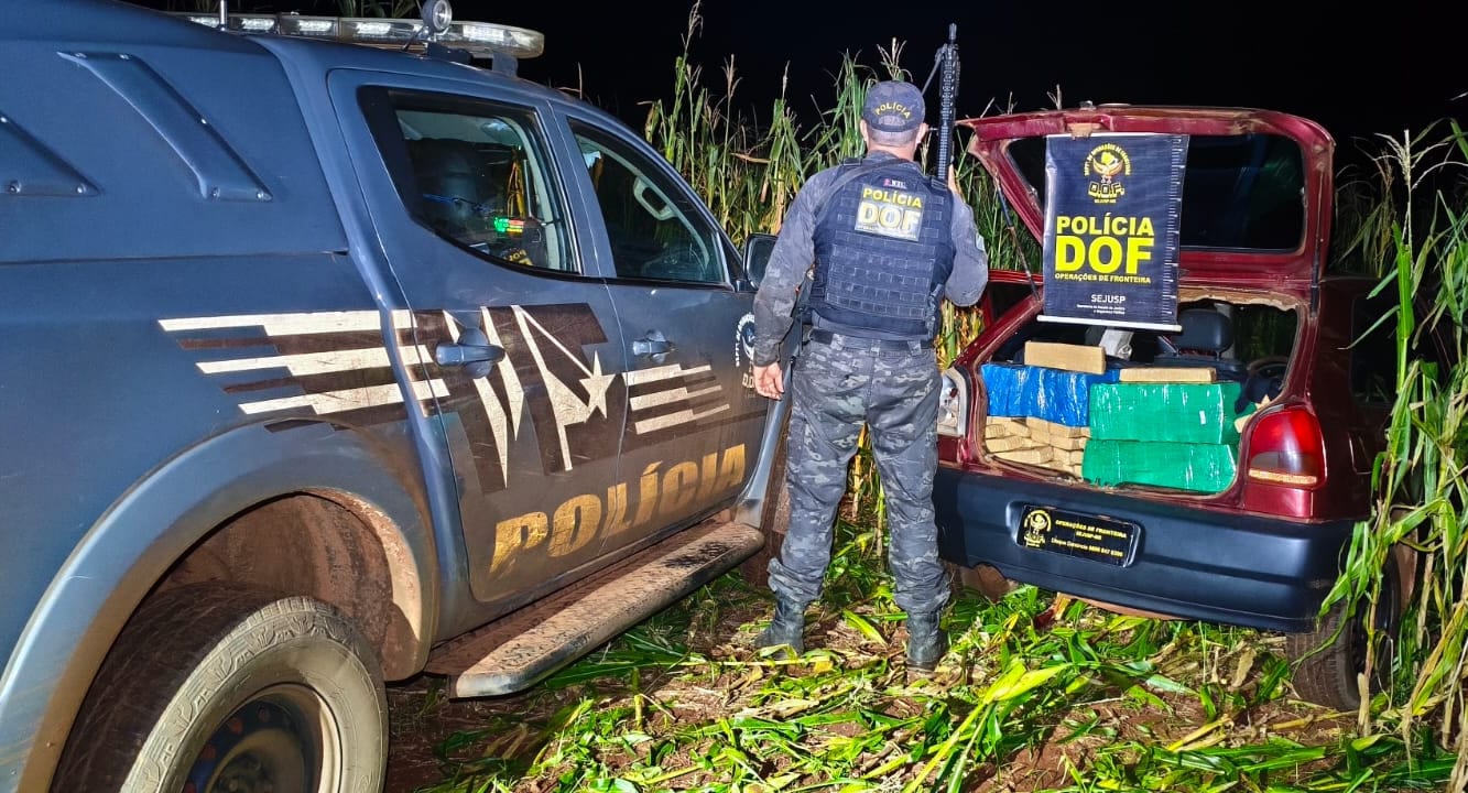 Maracaju: DOF apreende veículo com quase 400 quilos de maconha em milharal