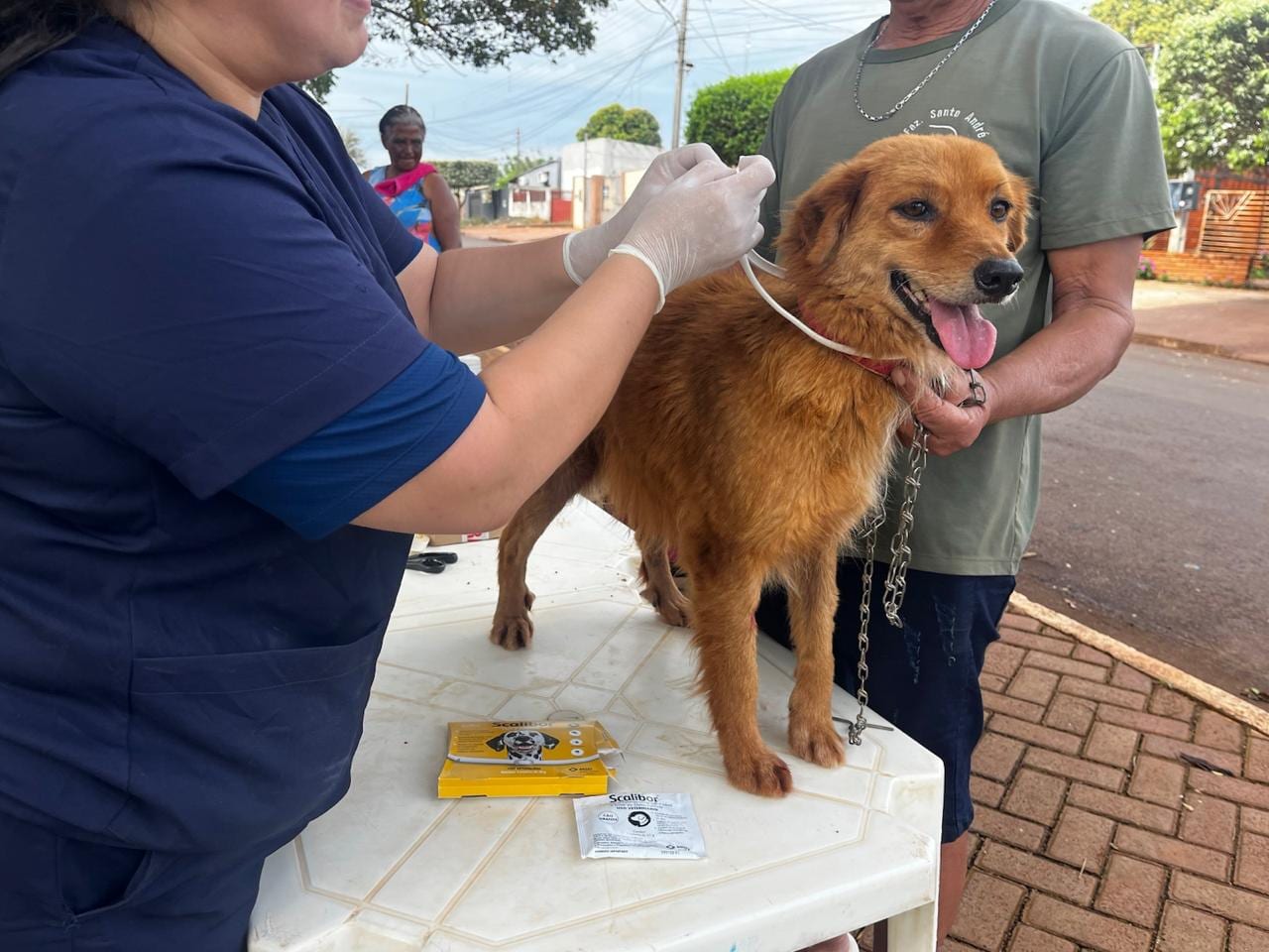 Prefeitura de Maracaju promove Semana de Conscientização e Combate à Leishmaniose com ações de prevenção e cuidado com animais.