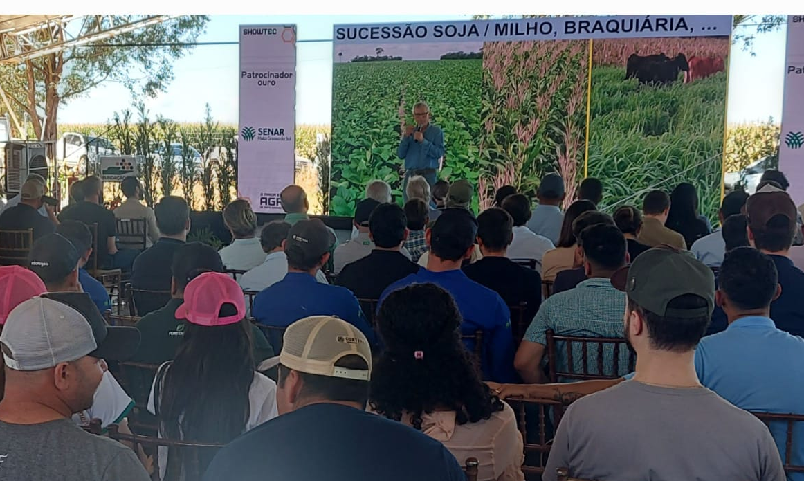 Showtec 2025: Embrapa apresenta soluções com milho, braquiária e manejo do solo para enfrentar a seca