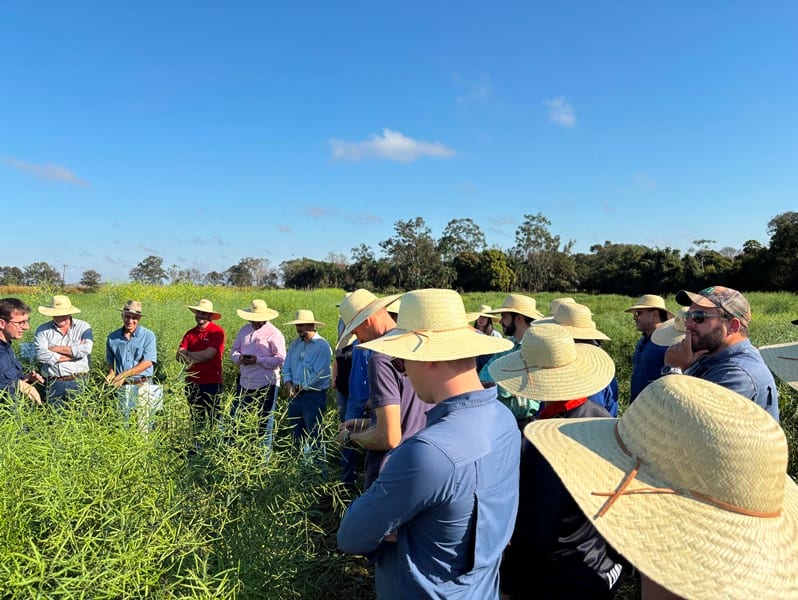 Visita técnica destaca o potencial das culturas de inverno para a produção agrícola em Mato Grosso do Sul.