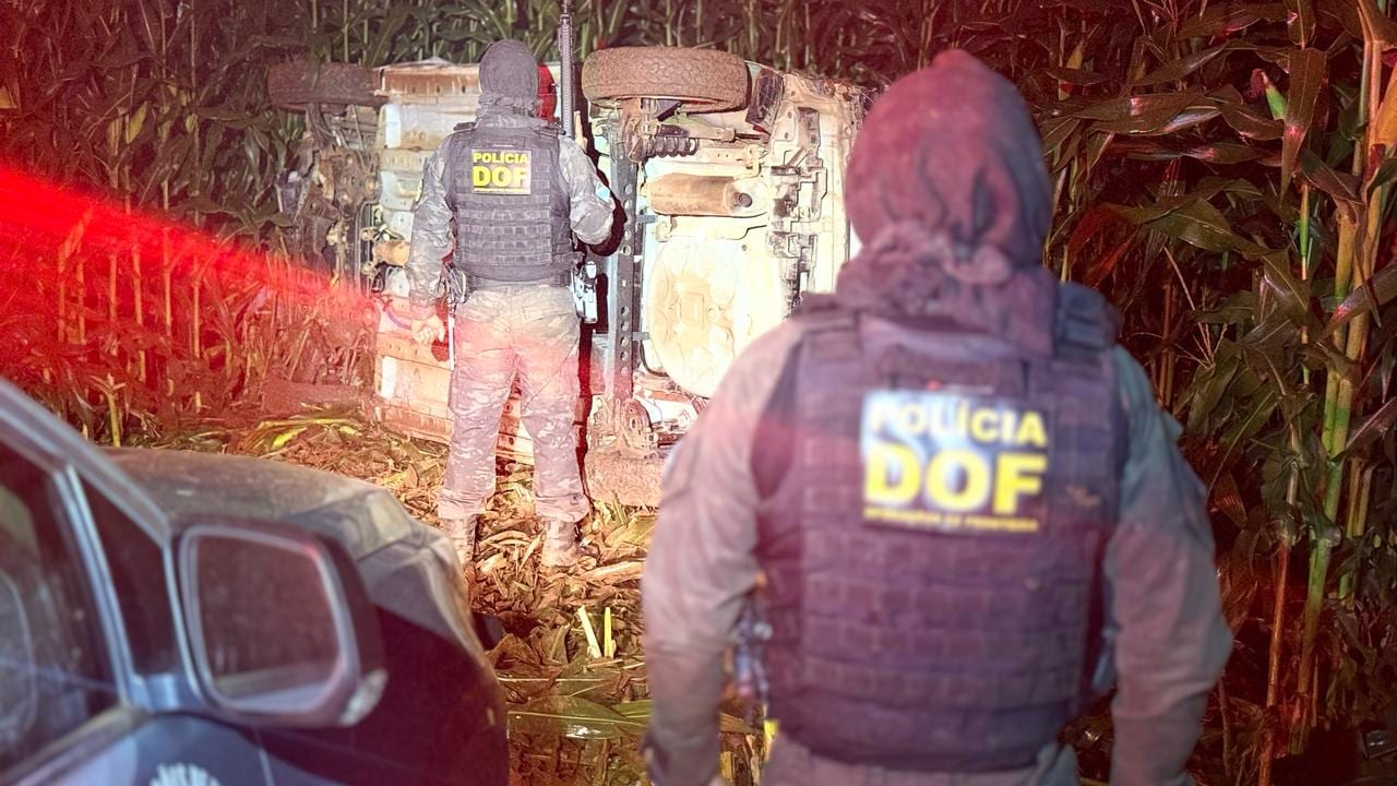 Após fuga e capotamento em lavoura de milho, DOF apreende quase 800 quilos de maconha