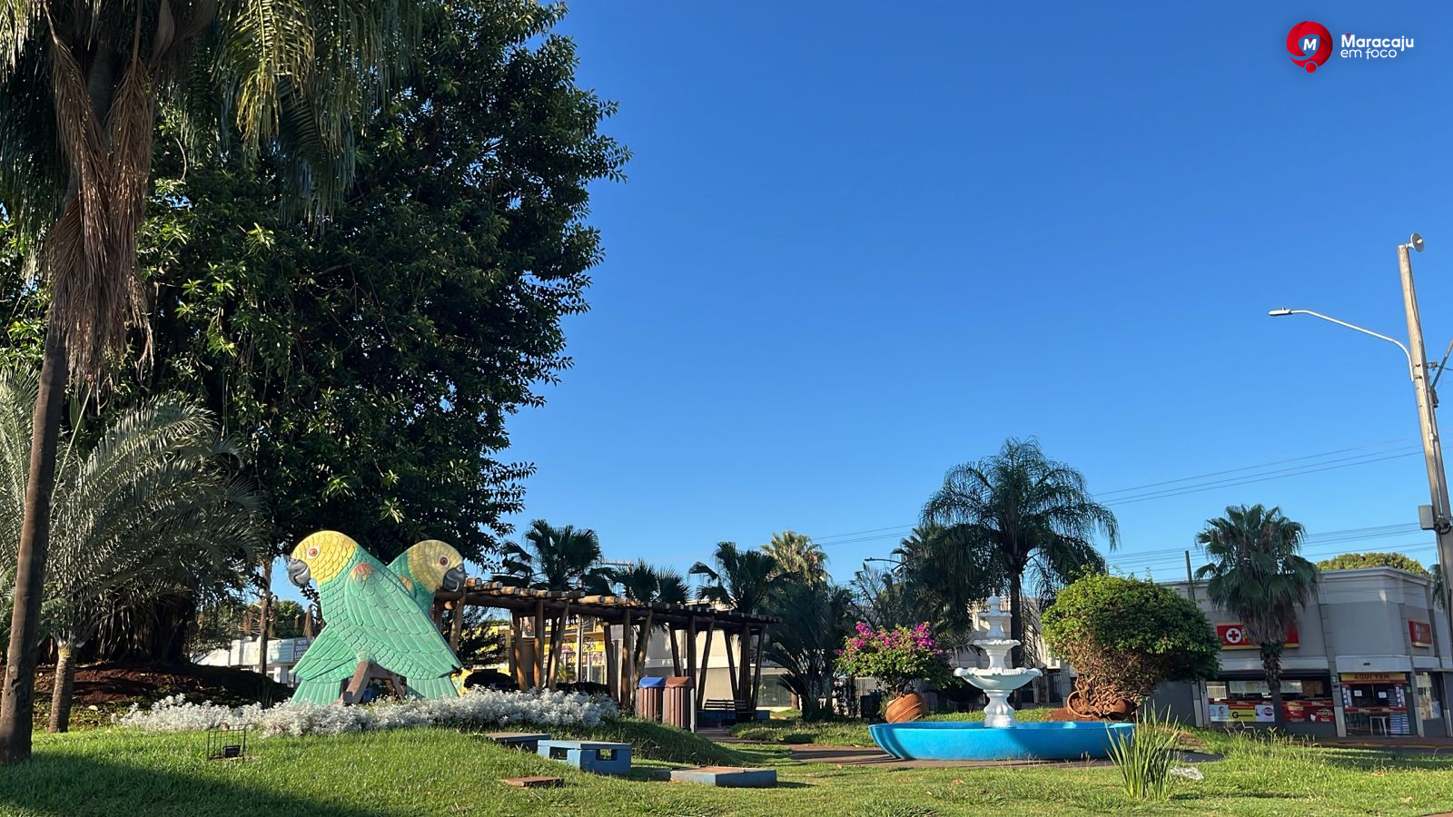 Previsão do Tempo para Maracaju: Pancadas de Chuva e sensação de calor.
