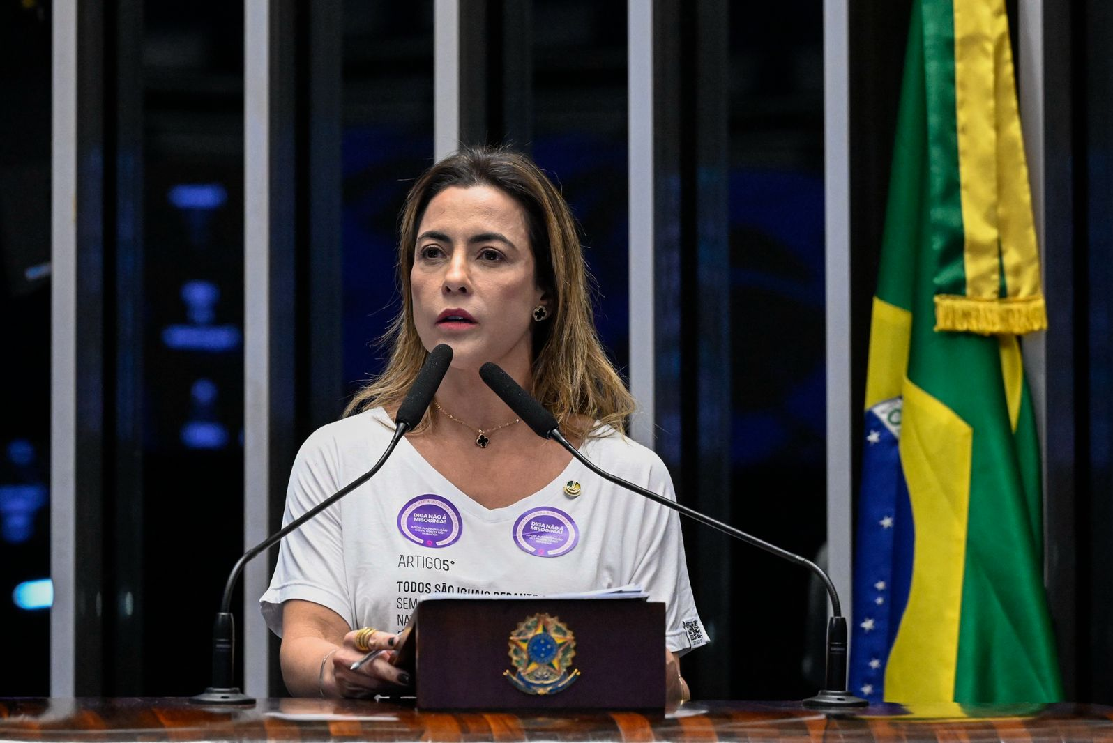 Sob relatoria da senadora Soraya, projeto que equipara misoginia ao racismo é aprovado no Senado