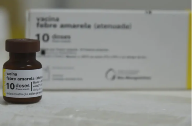 MS completa 10 anos sem casos de febre amarela humana e mantém alerta com vacinação