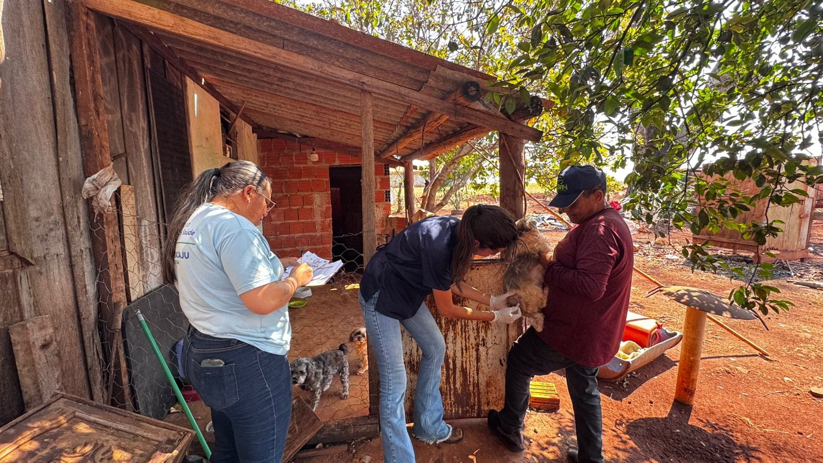 Vacinação antirrábica domiciliar atende tutores com dificuldade de locomoção em Maracaju.