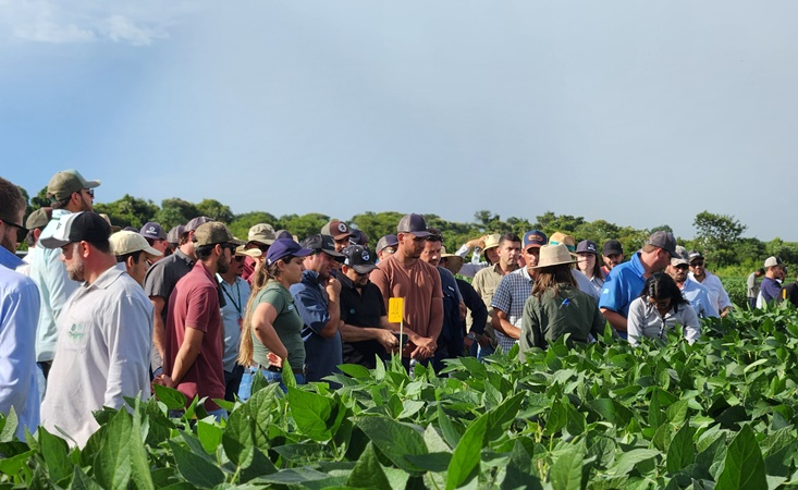 Fundação MS confirma Dia de Campo Safra 2025/2026 para 15 de janeiro na Fazenda Alegria, em Maracaju