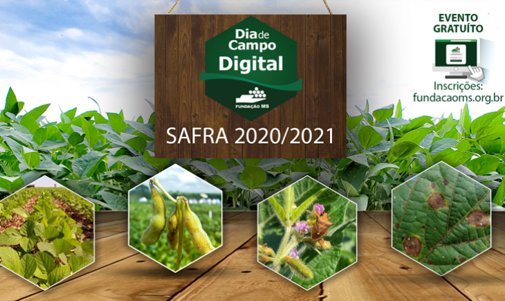 Fundação MS realizará Dia De Campo on-line para apresentar resultados importantes para Safra 2021/2022