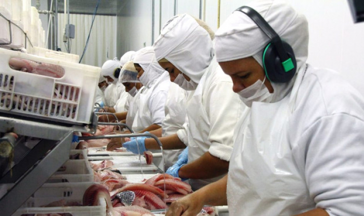 MS se mantém na liderança da exportação de tilápia no primeiro semestre de 2021