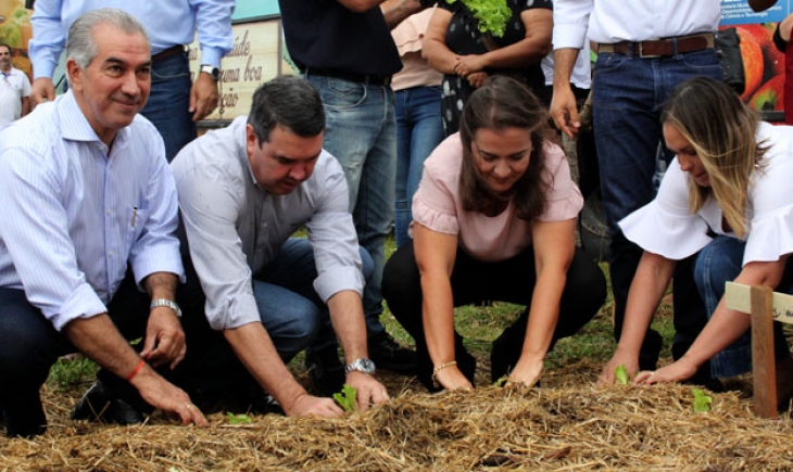Projeto de hortas comunitárias melhora renda, alimentação e ocupação de espaços vazios