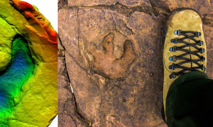 Estudo confirma presença de dinossauros em Mato Grosso do Sul