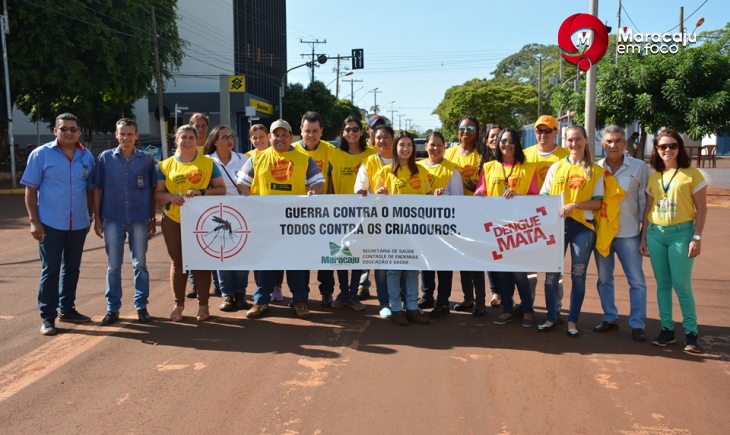 Campanha Contra a Dengue teve Dia D nesta sexta-feira. Saiba mais.