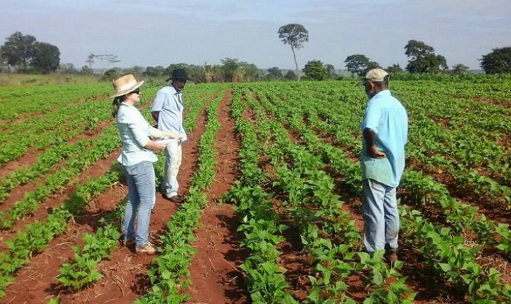Aldeias indígenas de MS vão receber 137 toneladas de sementes do Estado