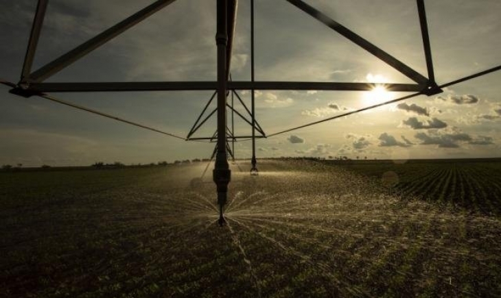 Ministério da Agriculta aprova o registro de mais 51 agrotóxicos em lavouras