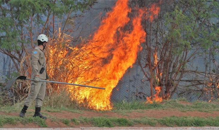 Com tempo seco focos de incêndio aumentam 133% e Corpo de Bombeiros Militar faz alerta