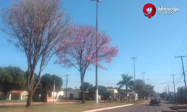 Previsão é de temperatura máxima de 32 graus neste domingo.