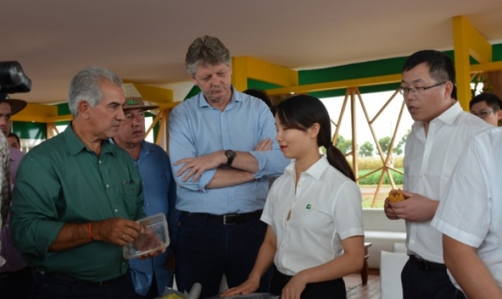 Indústria chinesa inicia operação em outubro e vai gerar 300 empregos em Maracaju