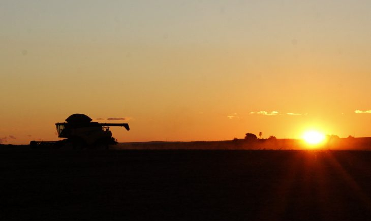 Estado é o 1º estado do Brasil em desenvolvimento agropecuário