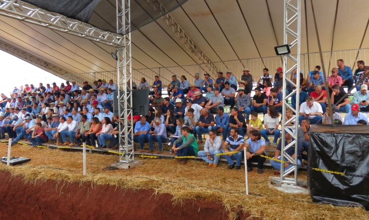 Ferramenta que permite a bioanálise do solo é lançada durante o Showtec 2020