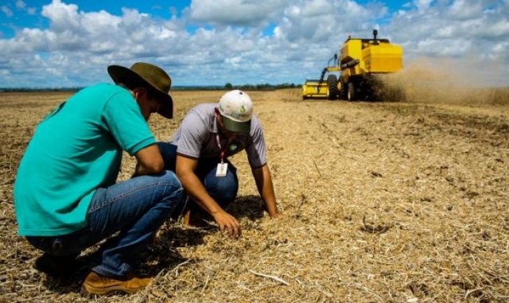 Em dois meses de safra, contratos de crédito rural em MS batem R$ 2 bilhões