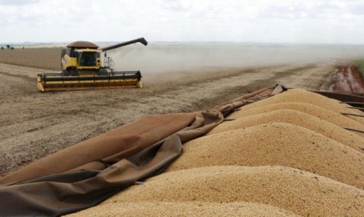 Maracaju e Sidrolândia são os dois municípios do MS entre os 20 maiores produtores de soja do país
