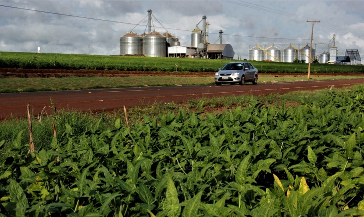 Governo revitaliza estrada rural que recebe até 100 caminhões por dia na época da colheita em Maracaju