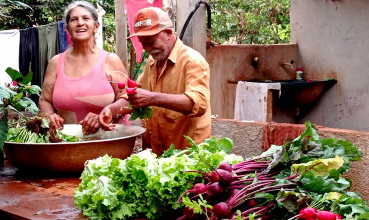 Dia Mundial da Agricultura Familiar: ações do Governo de MS transformam a vida de 43,2 mil famílias