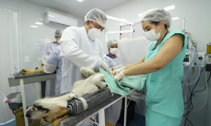 Destinado por Marcio Fernandes, Castramóvel realiza ações em bairros e presídio