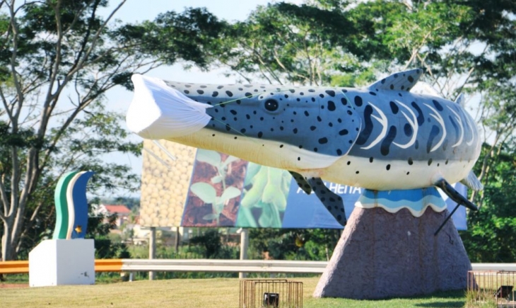 Peixe na entrada de Itaporã ganha máscara de proteção