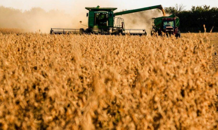 Exportação de soja de MS avança 129% em relação ao mesmo período do ano passado